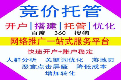 案例分析：竞价推广实战中的困境与突破
